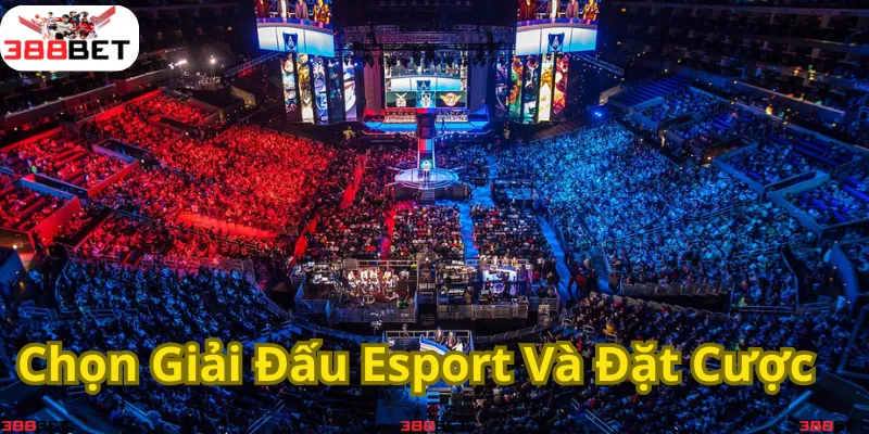Tham gia cá cược Esport – Chọn giải đấu hấp dẫn và trải nghiệm kịch tính